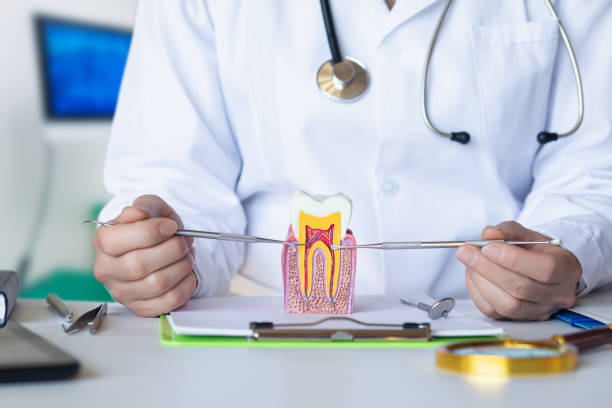 Best Tooth Infection Emergency Dentist  in Stow, OH